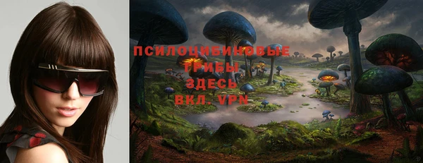 первитин Алексин