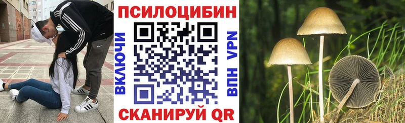 сколько стоит Чусовой Псилоцибиновые грибы мицелий
