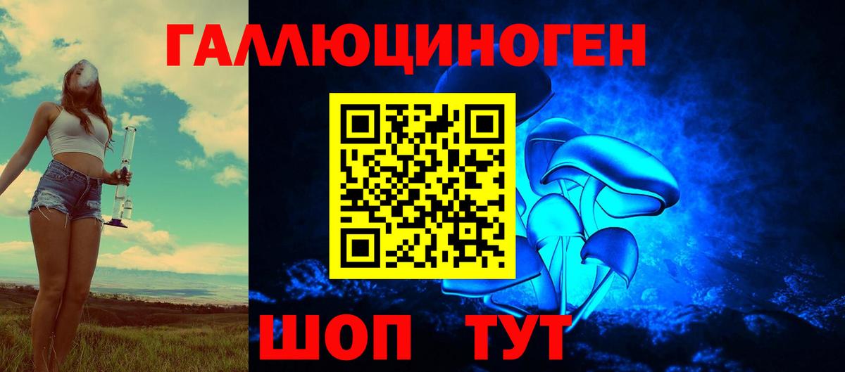 Чусовой  сколько стоит  Вход с VPN  Псилоцибиновые грибы Psilocybe 